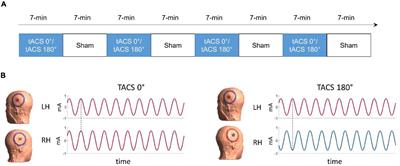 The Predictive Value of Individual Electric Field Modeling for Transcranial Alternating Current Stimulation Induced Brain Modulation